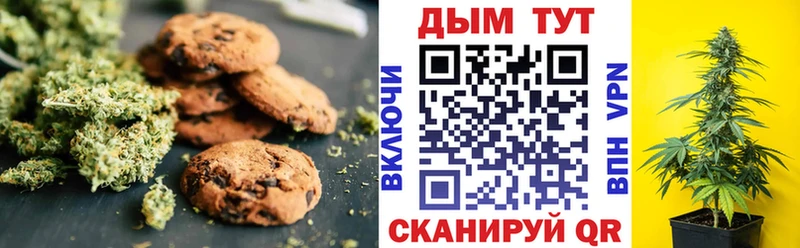 где можно купить наркотик  Вельск  hydra вход  Еда ТГК марихуана 