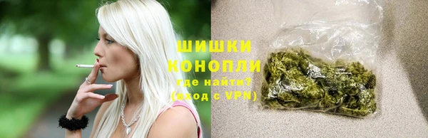 индика Балабаново