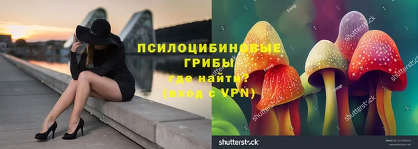 mdpv Баксан