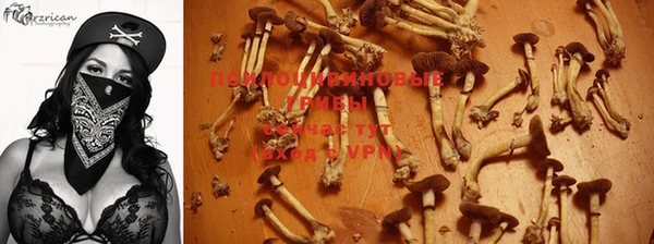 mdpv Баксан