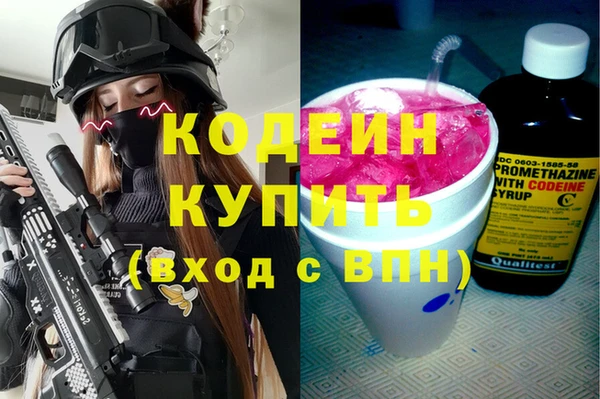 индика Балабаново