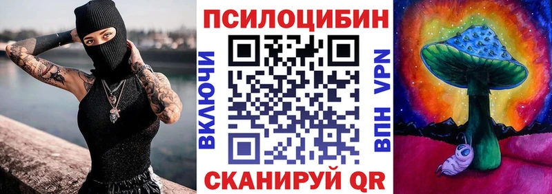 где купить   Вельск  Галлюциногенные грибы MAGIC MUSHROOMS 